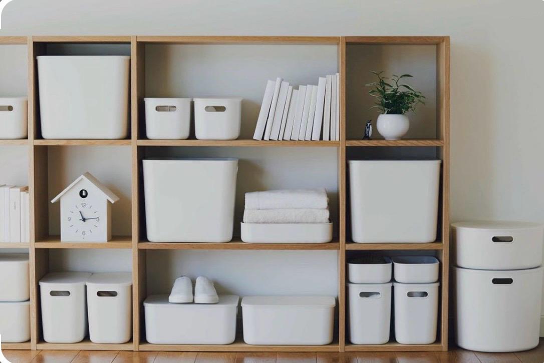 Everyday Organization